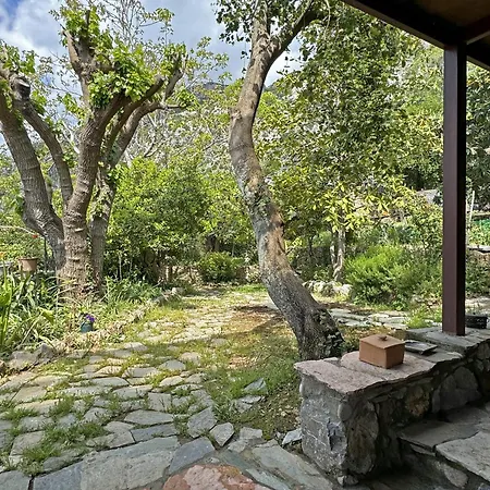 Apartman Lina's Art And Stone *